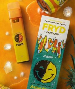 FRYD DISPOSABLE CACTUS COOLER