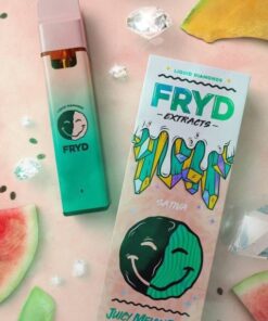 FRYD DISPOSABLE JUICY MELON DEW